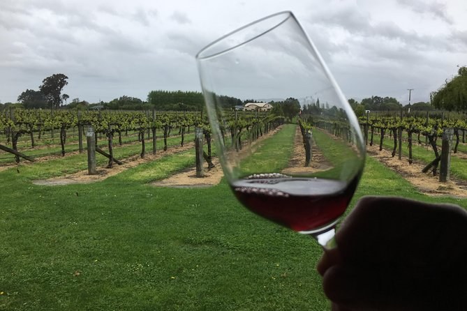 A hand holding a glass of red wine up against a vineyard