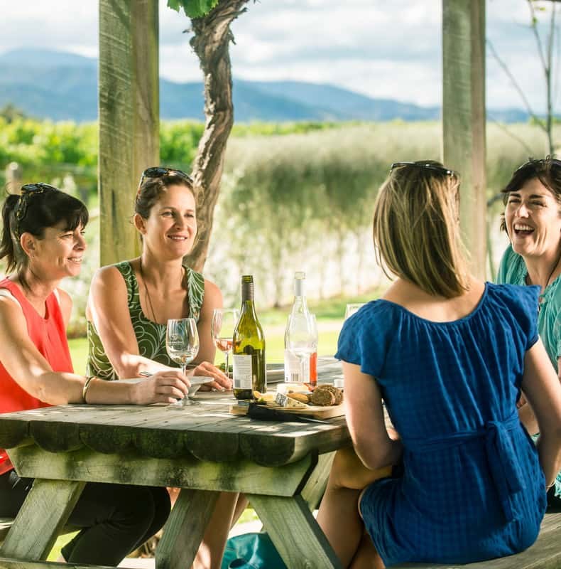 Blenheim/Renwick: Marlborough Half-Day Wine Tour with Lunch