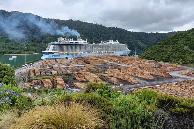 A cruise ship at a wharf in a forested bay, a log yard in front