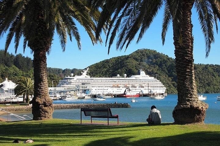 A cruise ship berthed across the water, seen between two palms on a waterfront lawn