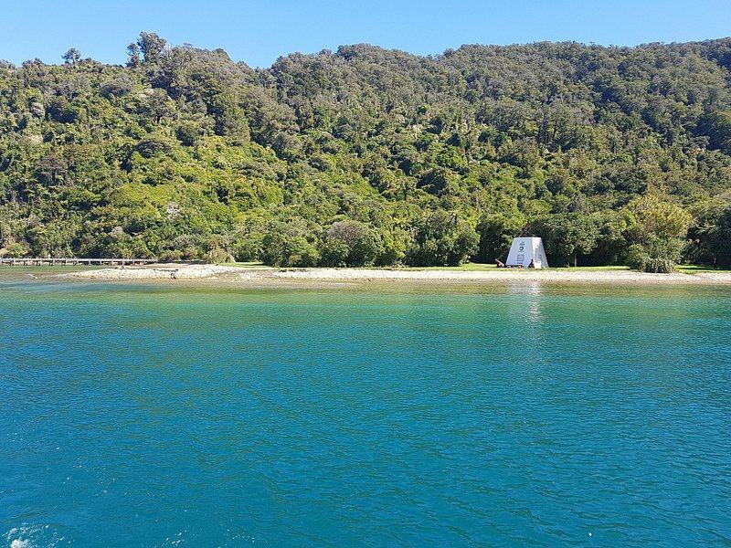 Forest running down to a quiet bay of green water