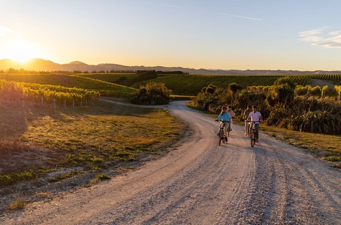 A gravel road through the vines at sunset, two cyclists small in the distance