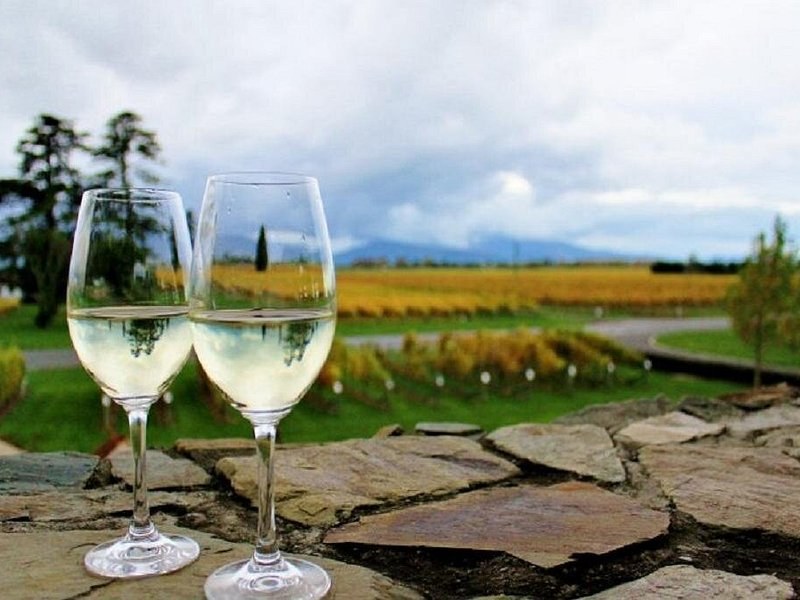 Two glasses of white wine on a stone wall, vines and hills behind